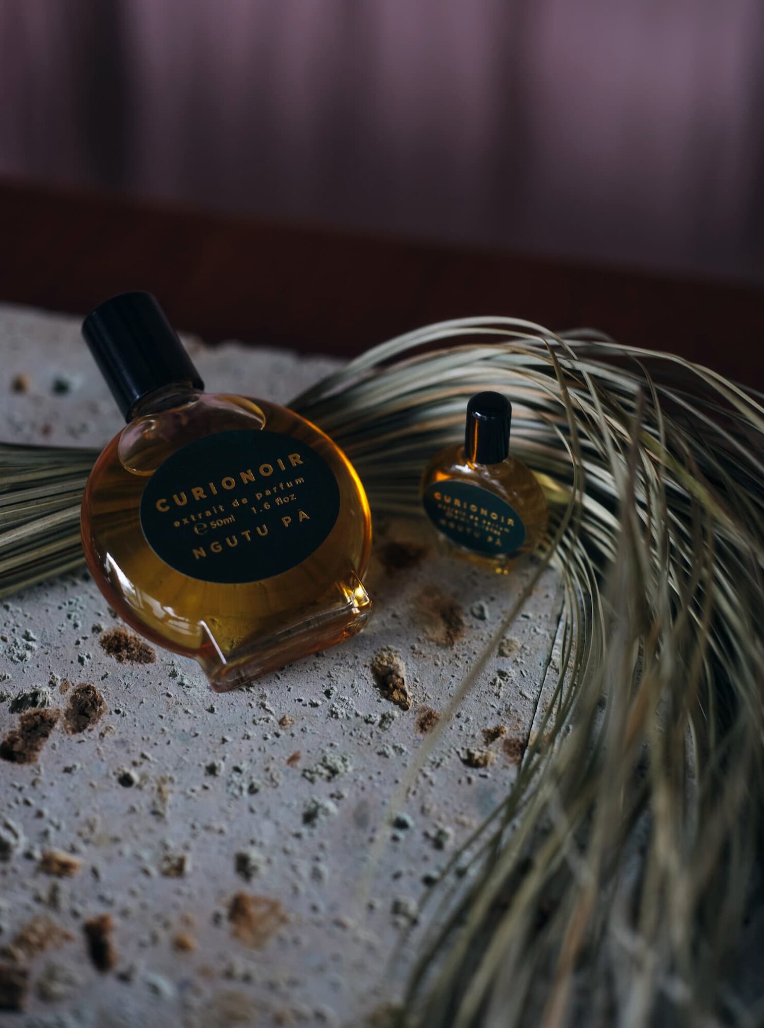 25_08_12_curionoir32076+_lower